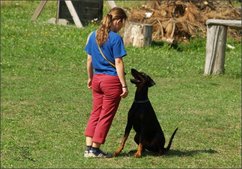 SVV exam - 25. 8. 2007 - Jelenec - Slovakia